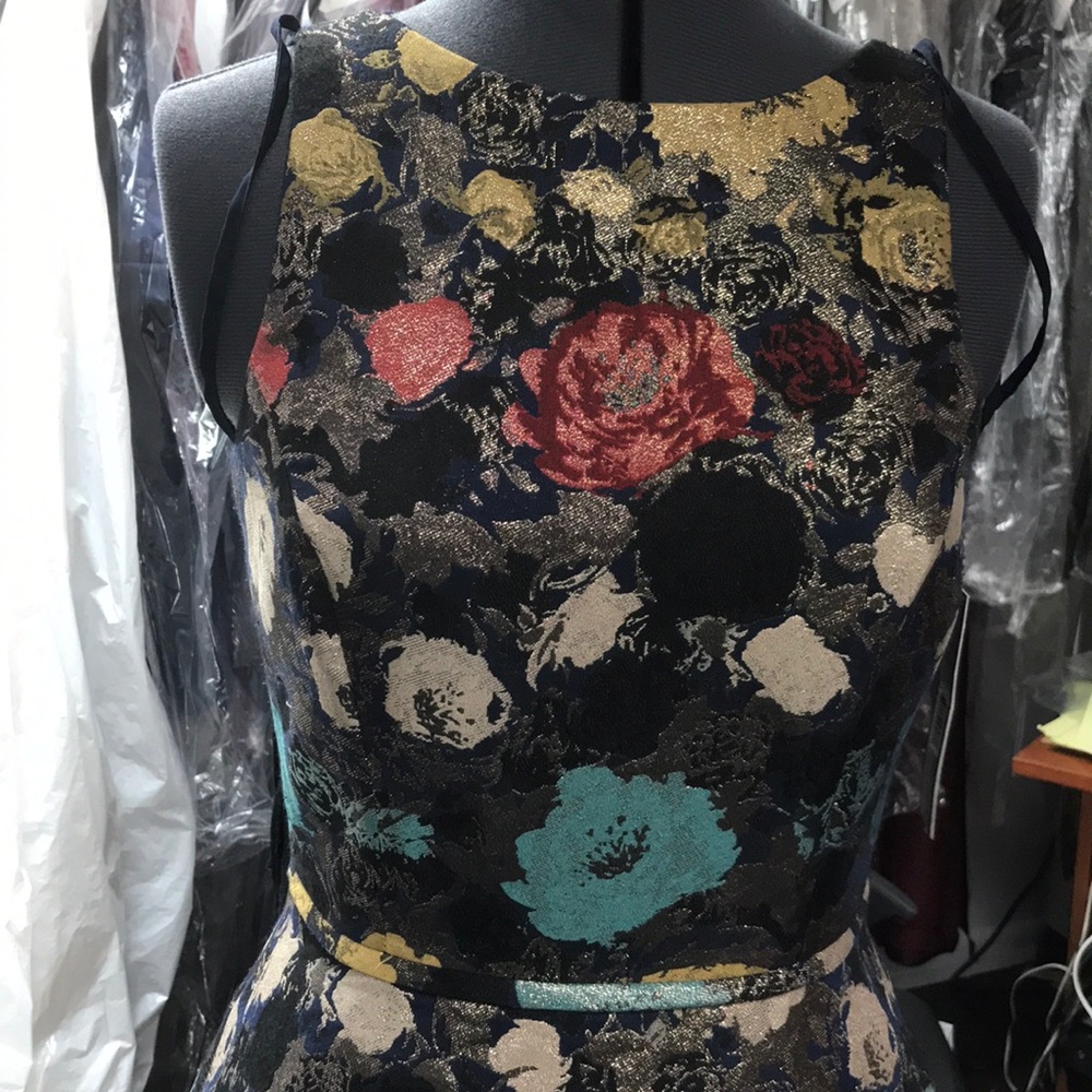 Tahari  Arthur Levine  petit dress
